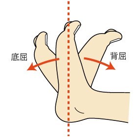 ankle-flexion-extension