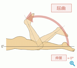 knee-flexion-extension