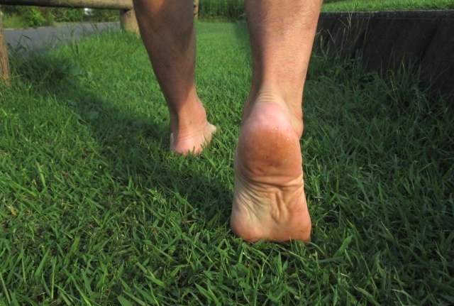 ankle-rehabilitation