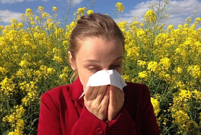 hay-fever-allergy